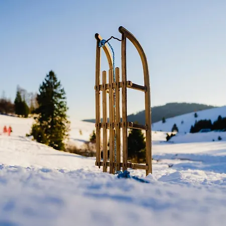 Appartement Schwarzwald Wellness *
